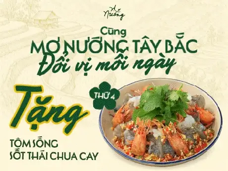 ƯU ĐÃI và SỰ KIỆN Nhà Mơ
